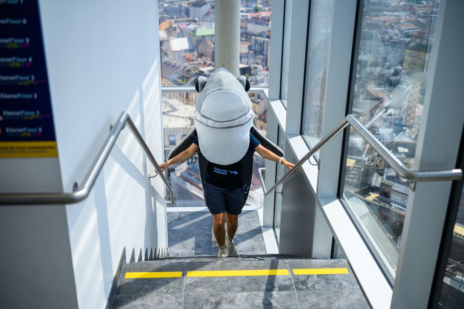 Maskottchen Sharky läuft die Treppen hoch