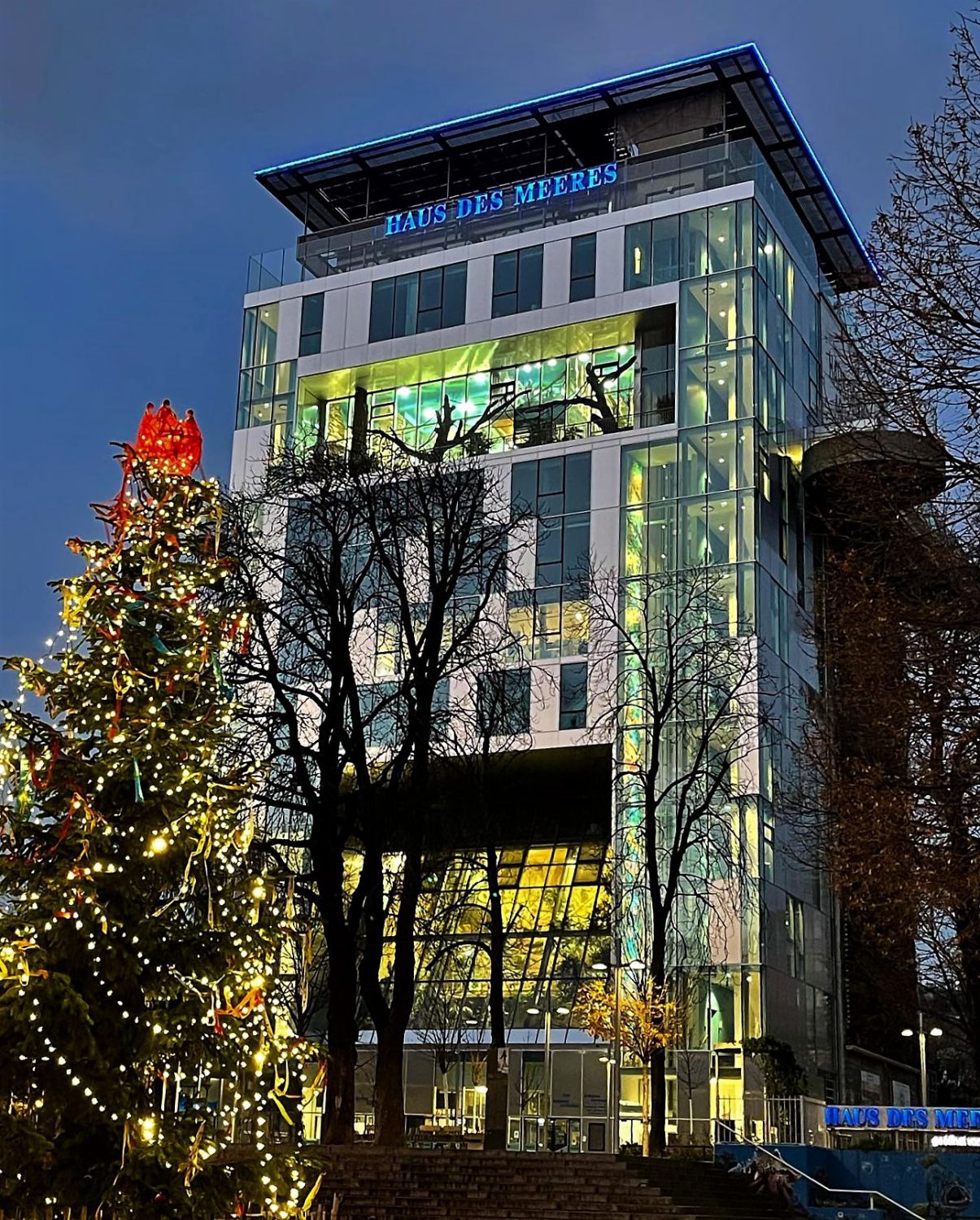 aber bald ist wieder Weihnachten