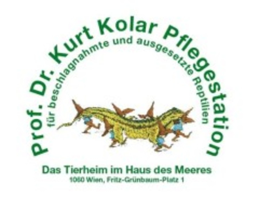 Auch "ihr" Tierheim im Haus des Meeres