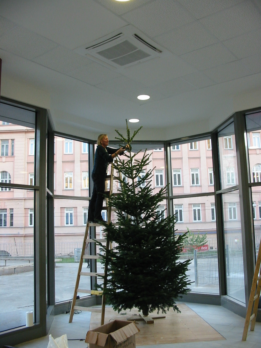 Start "ihres" Shops zu Weihnachten 2007 - sie stan