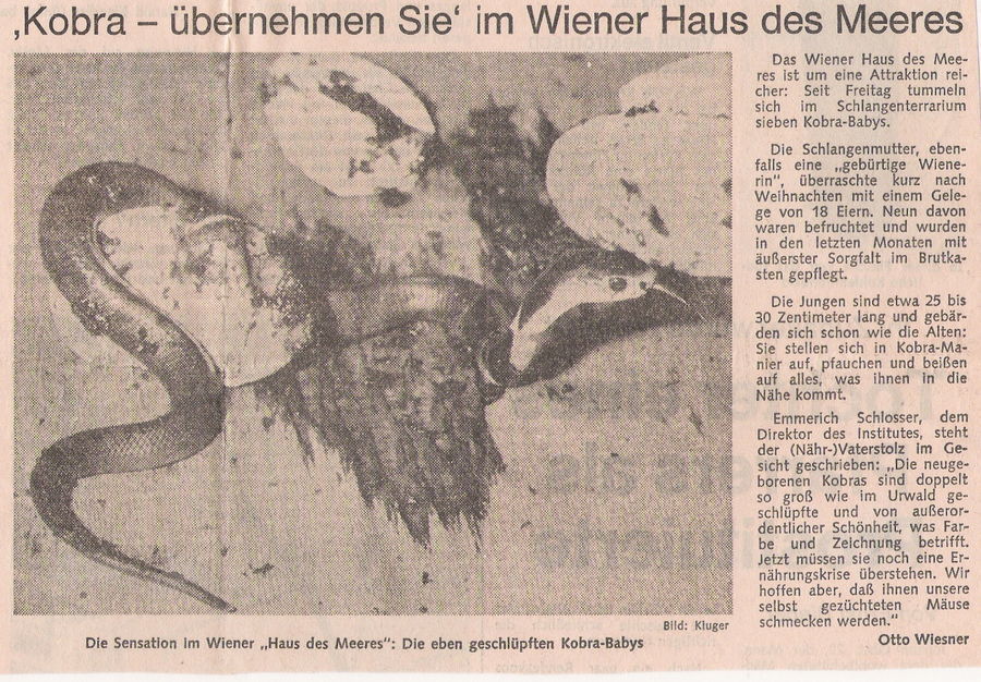 Kurier Samstag 10. März 1979