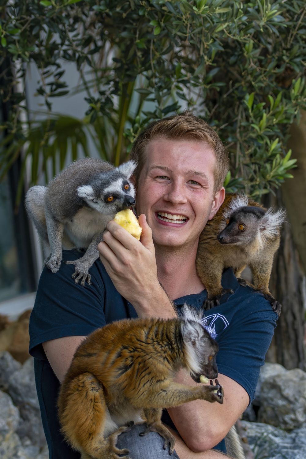 Tierarzt Jeff Schreiner bei seinen Lieblingen Katt