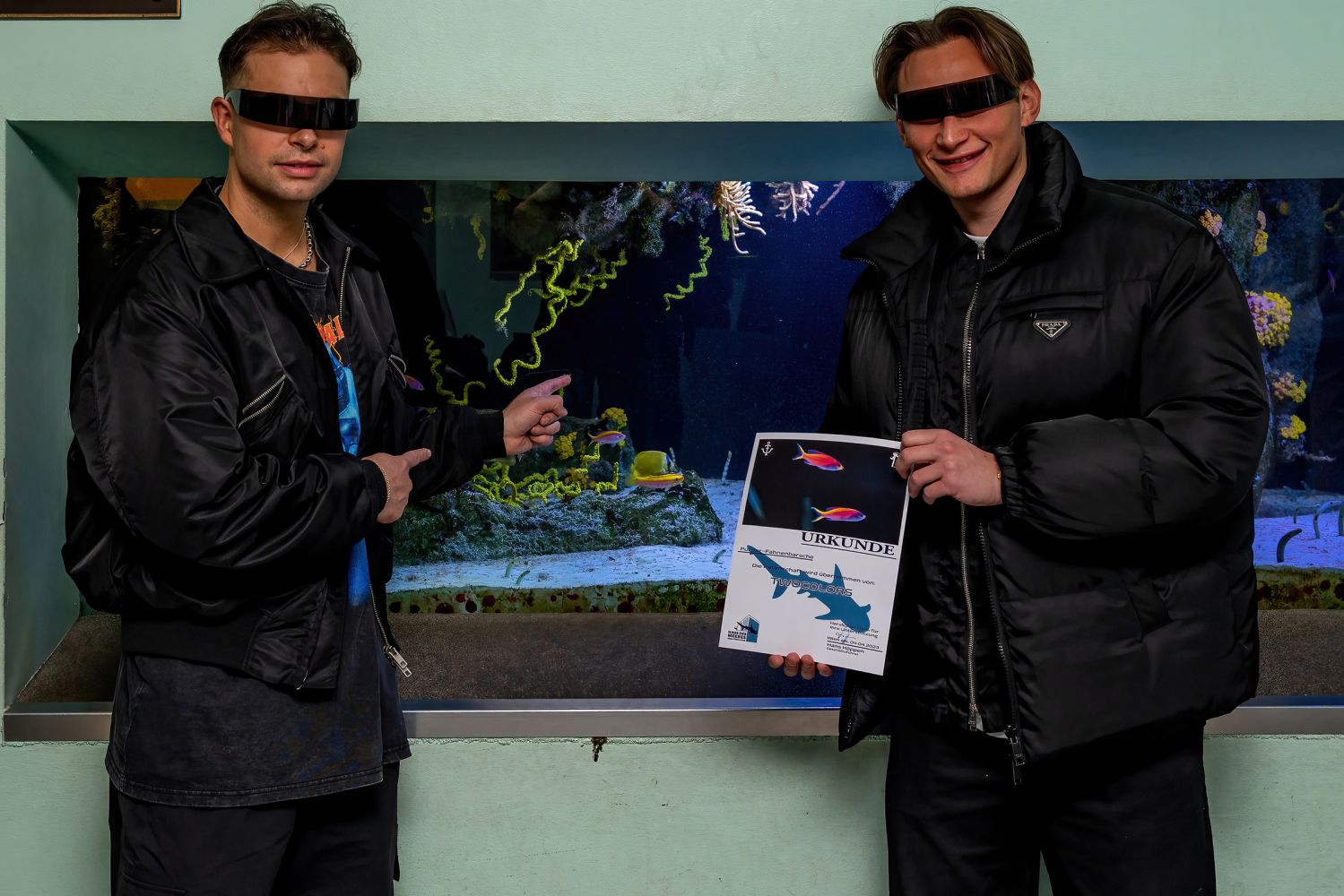 Disco-Fisch ist ein Hit  