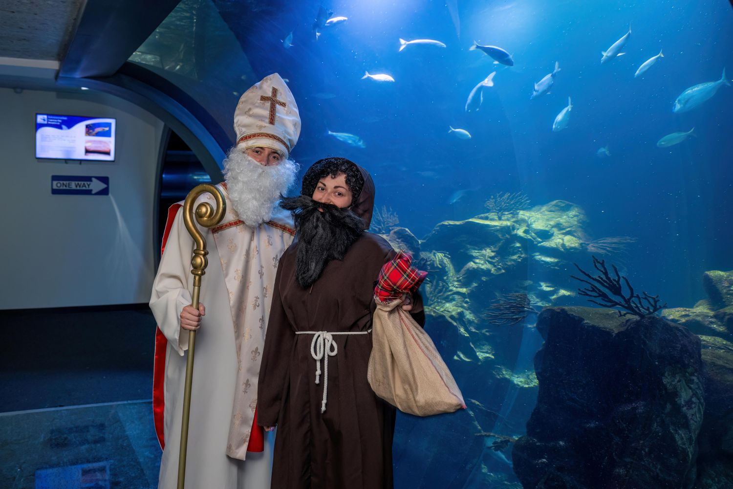 Der Nikolo und Knecht Ruprecht freuen sich auf all
