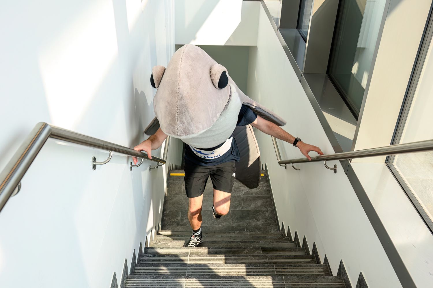 Endlich wird wieder gelaufen: Die neue Streckenfü
