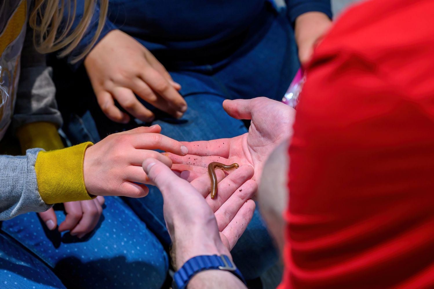 Halloween-Special: Gruselspaß für Groß und Klein