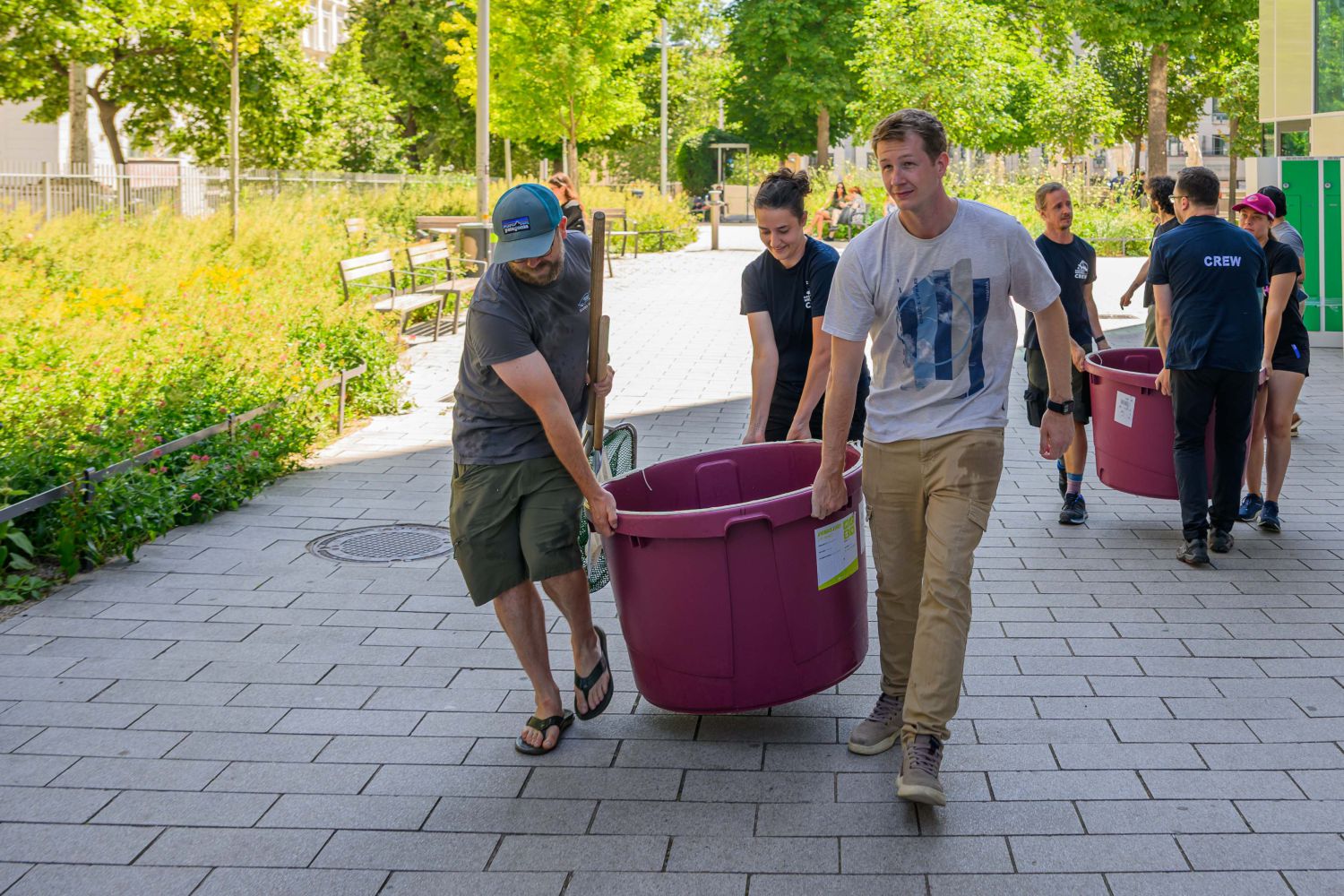 Teamwork beim Umzug aus dem Haus des Meeres - auf 