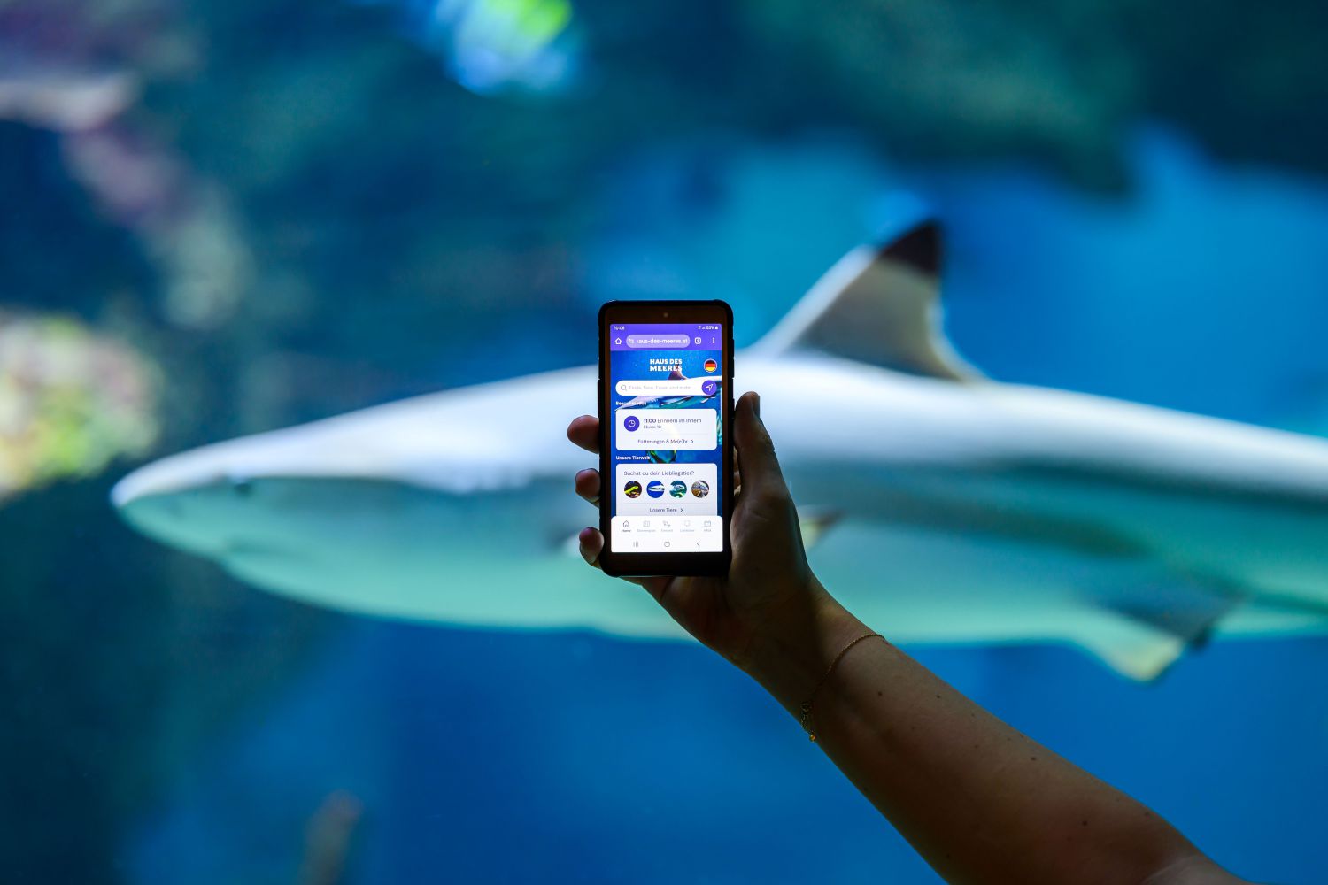 Die App GuideMe führt durch den Zoo