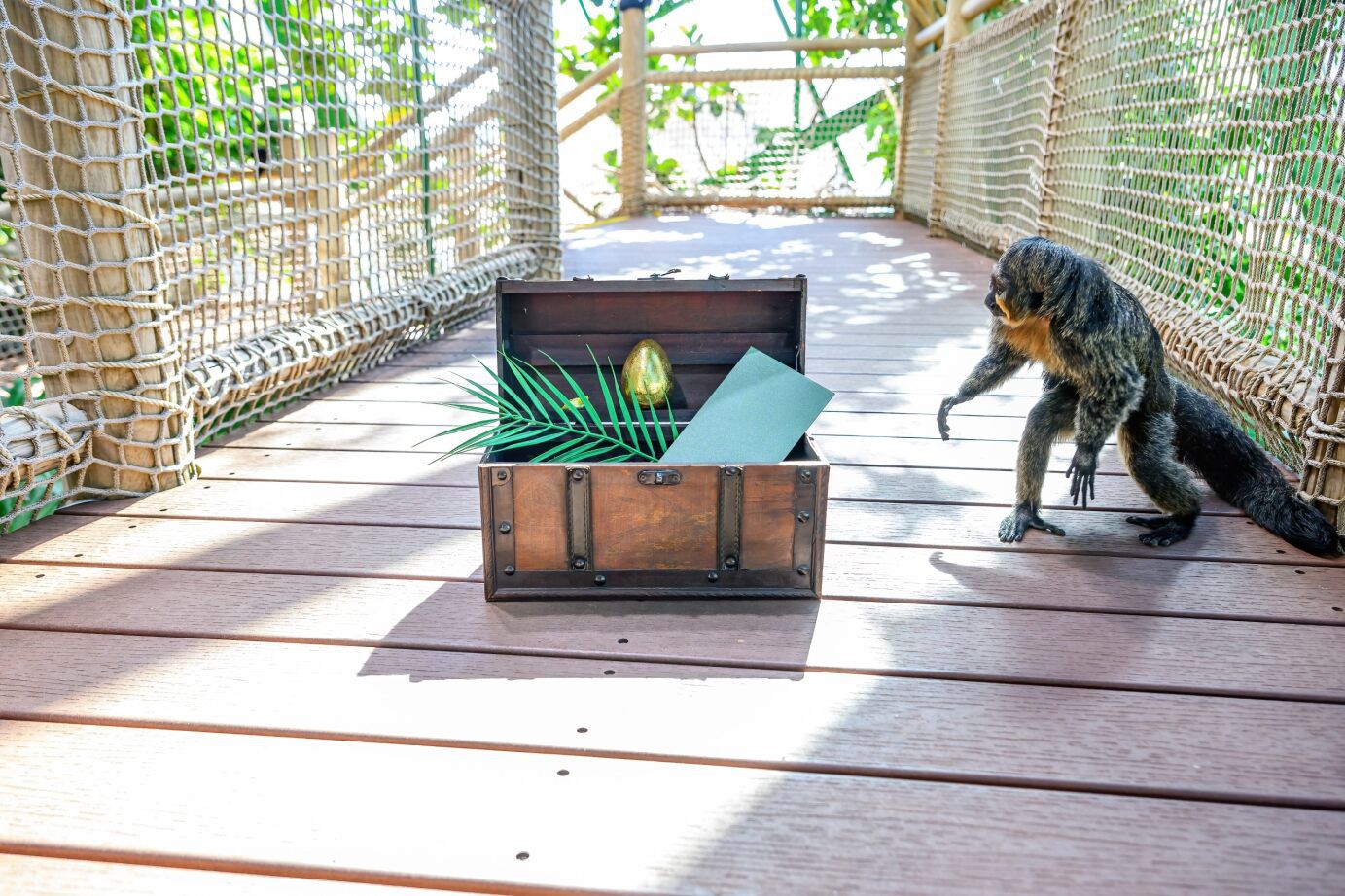 Auch unsere Tiere suchen schon fleißig, ob im Tro