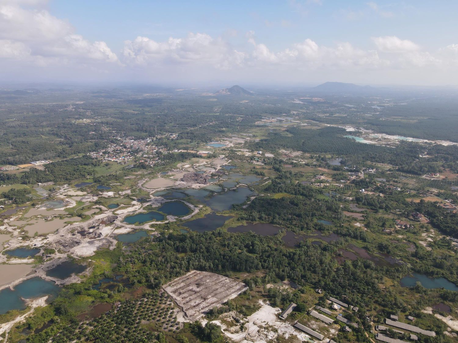 Die Landschaft Bangkas ist geprägt von Palmölpla