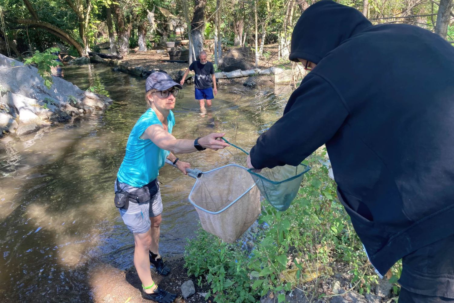 Mit Kescher und Reuse gelang die Wiederentdeckung 
