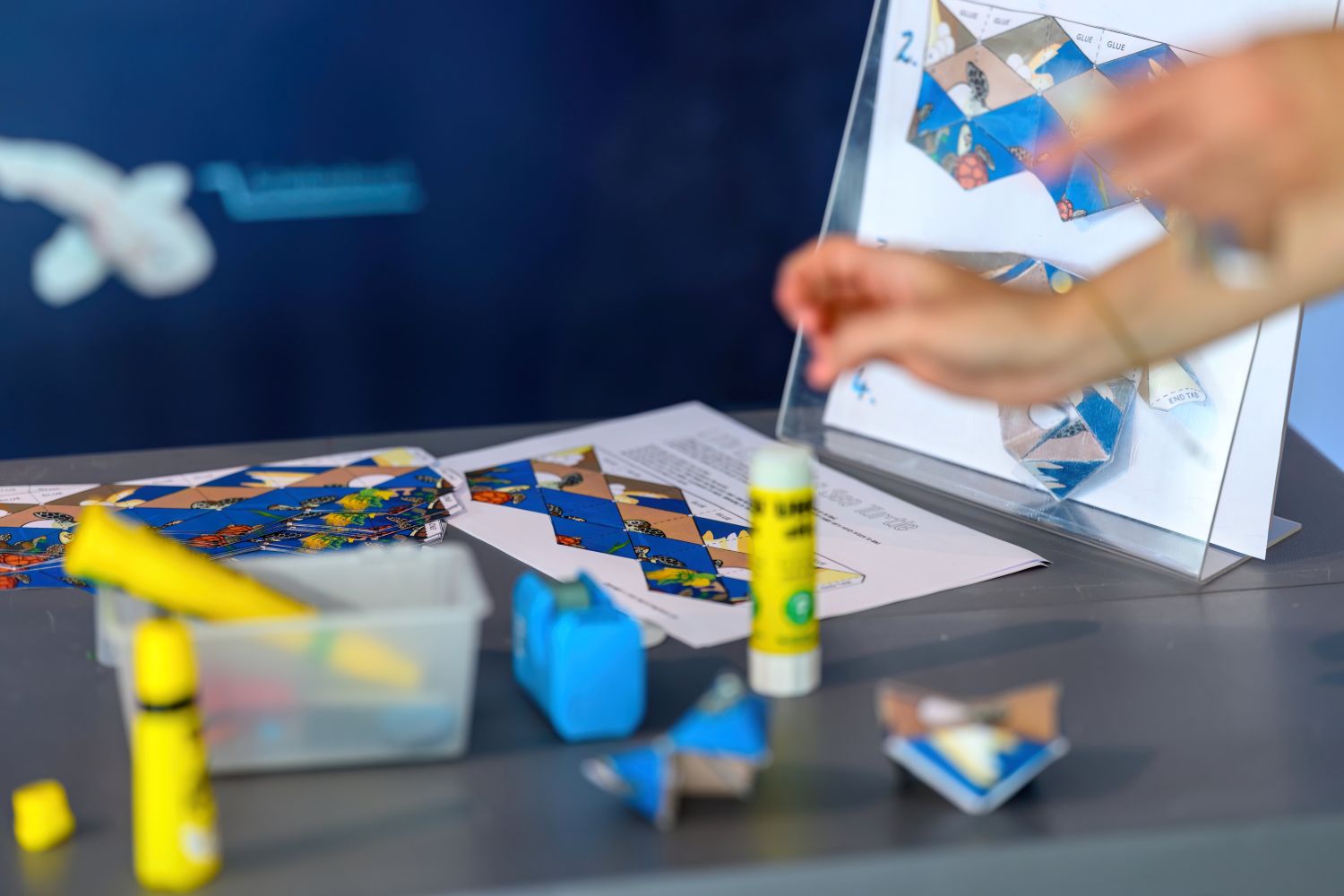 Meeresschutz zum Angreifen und Mitmachen - World Ocean Day im Haus des Meeres