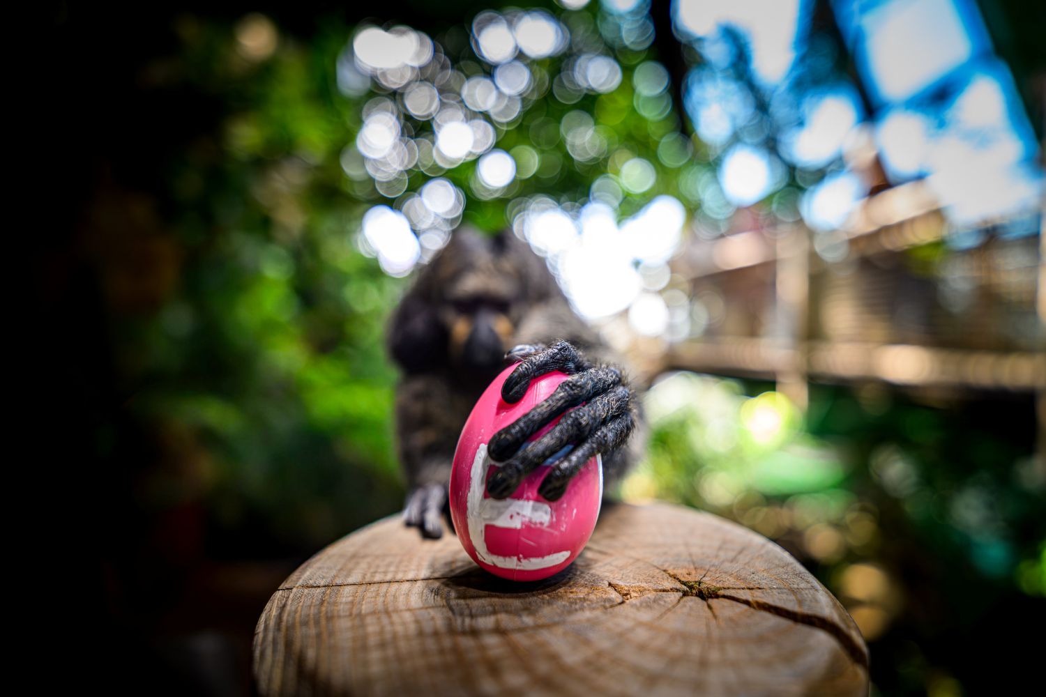 Ei-nzigartige Osterferien im Haus des Meeres