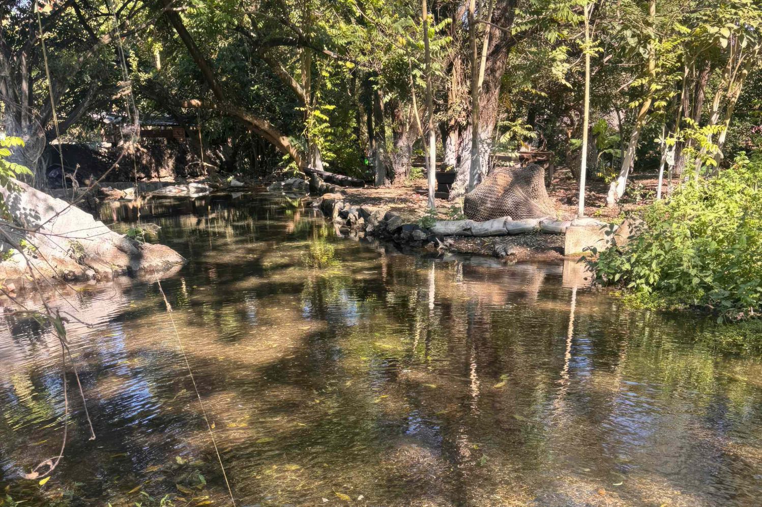 In der Quelle von Seis de Enero gelang der ersehnt