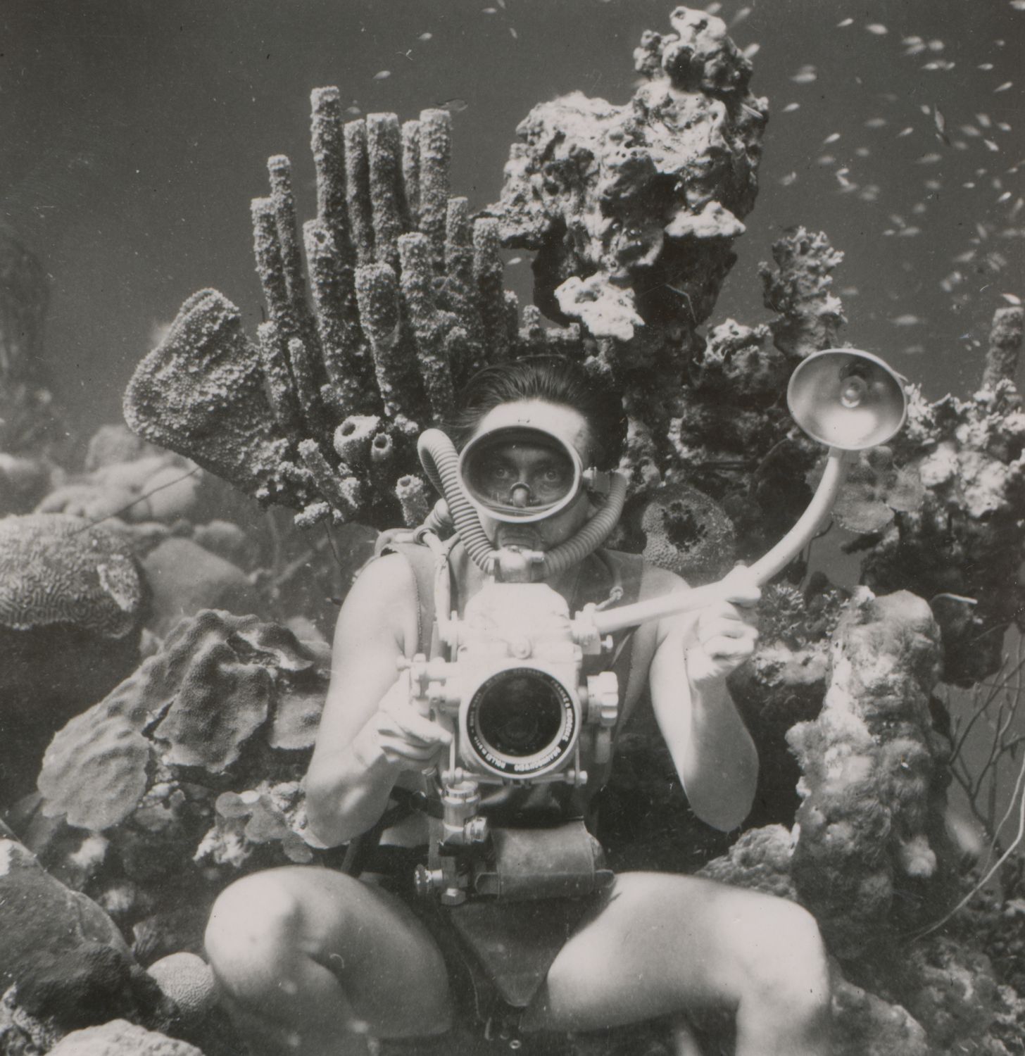 WestLicht x Haus des Meeres