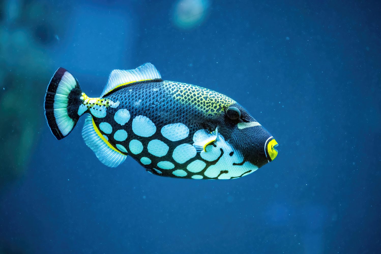 Erlebnis schenken, Erinnerungen mitnehmen!