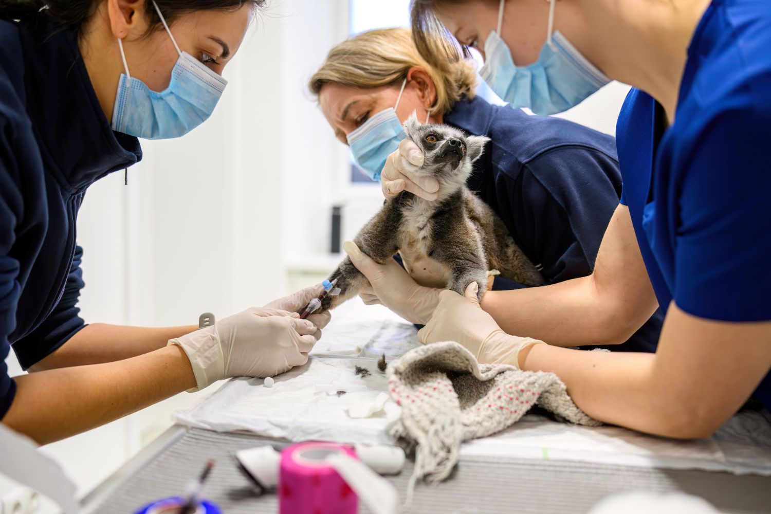 Vor jeder Narkose wird routinemäßig eine Blutunt