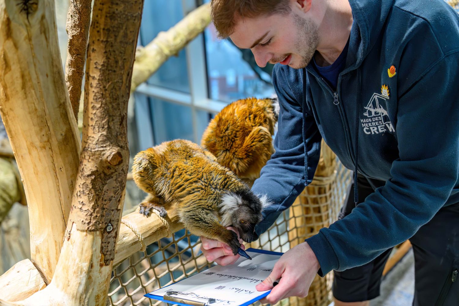 Mission (Im)possible: Große Tierinventur – über und unter Wasser