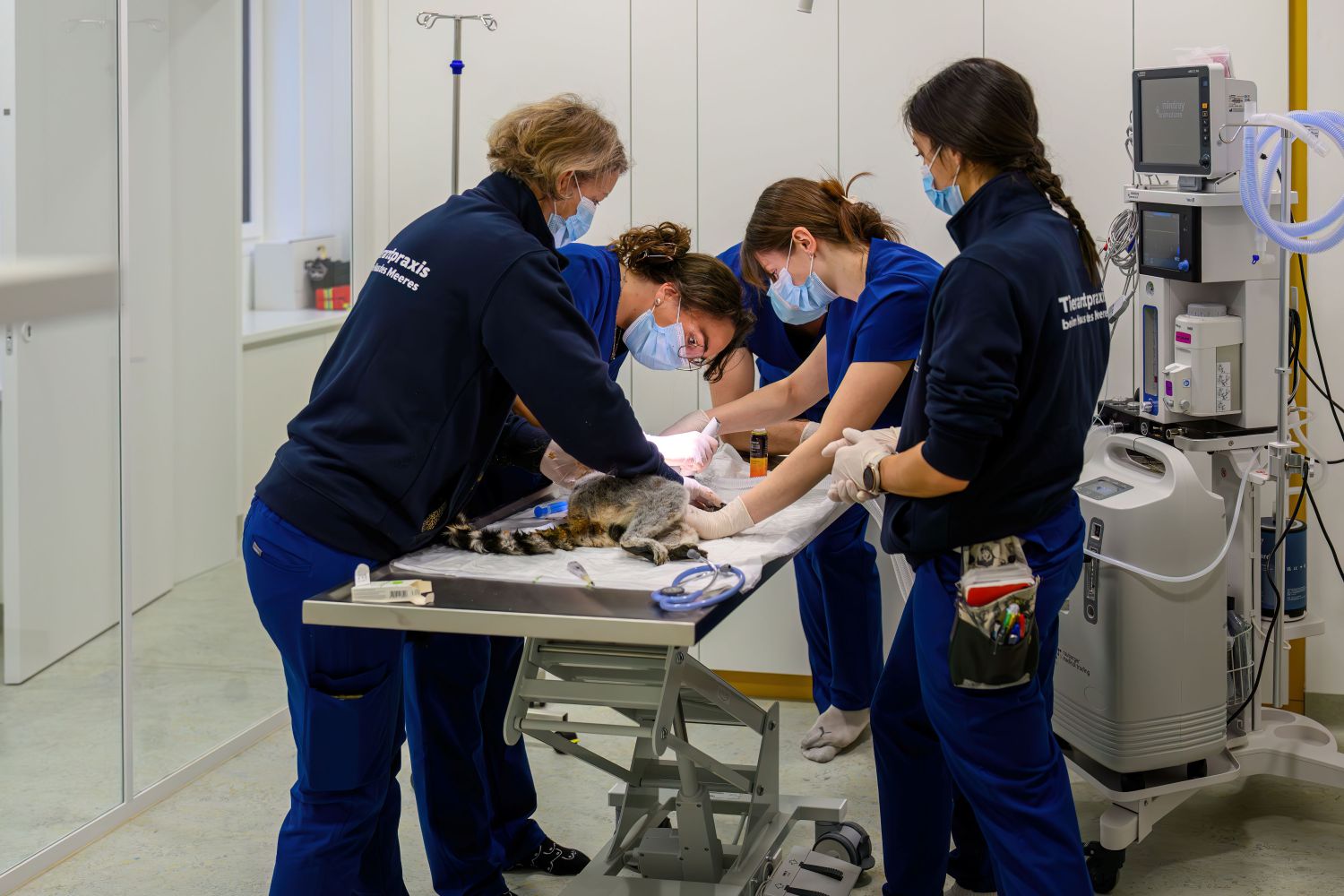 Von Hai bis Hund: Neue Tierarztpraxis beim Haus des Meeres eröffnet