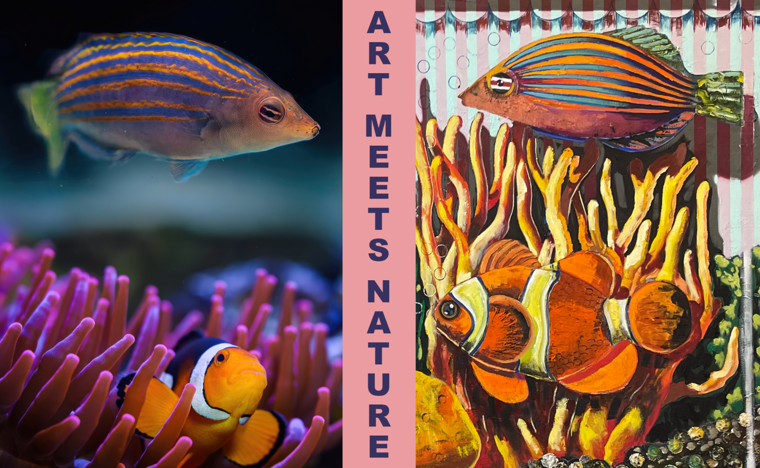 Kunst trifft Natur – „Animalia“ & das Haus des Meeres im Dialog