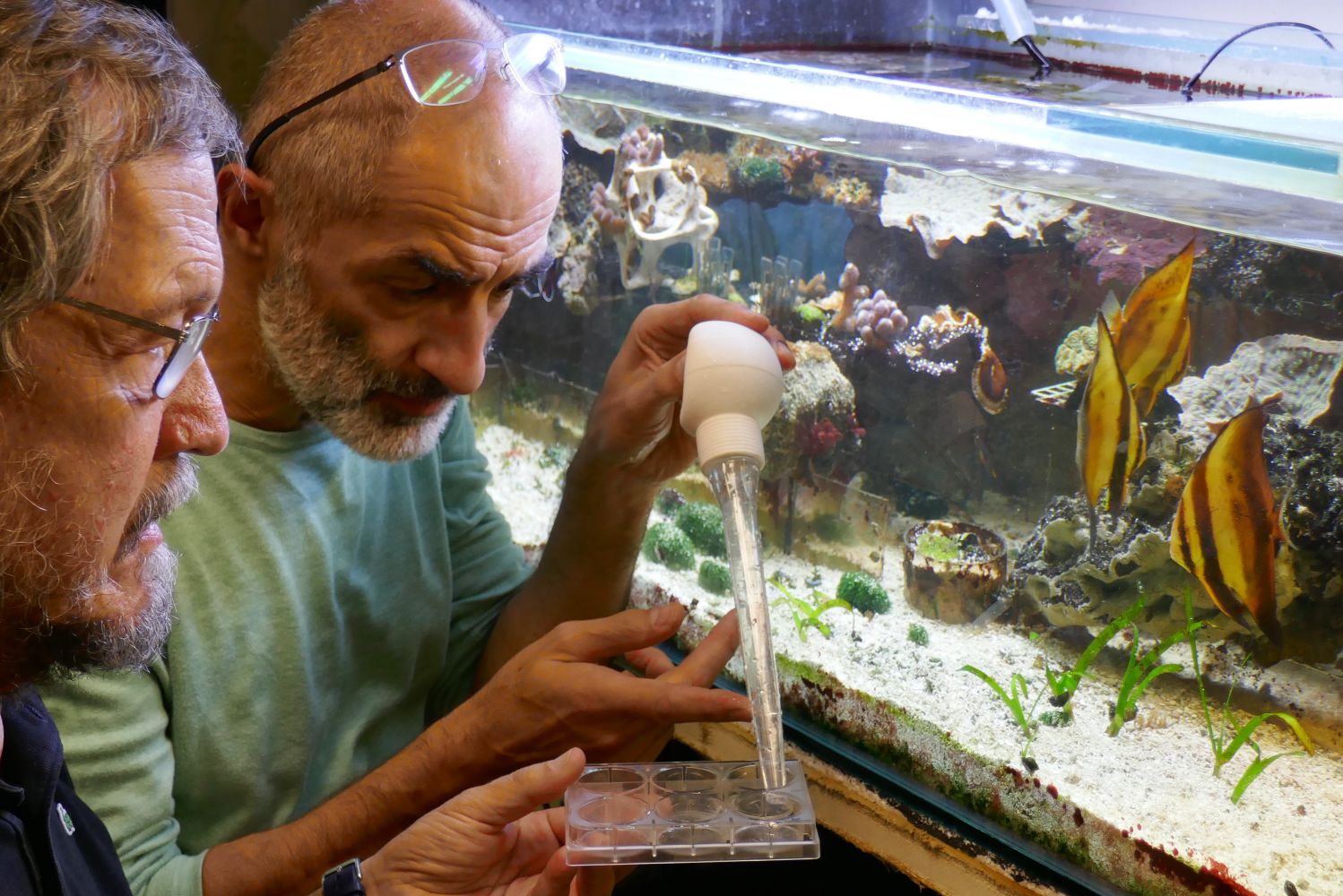 Two scientists take a sample from the water