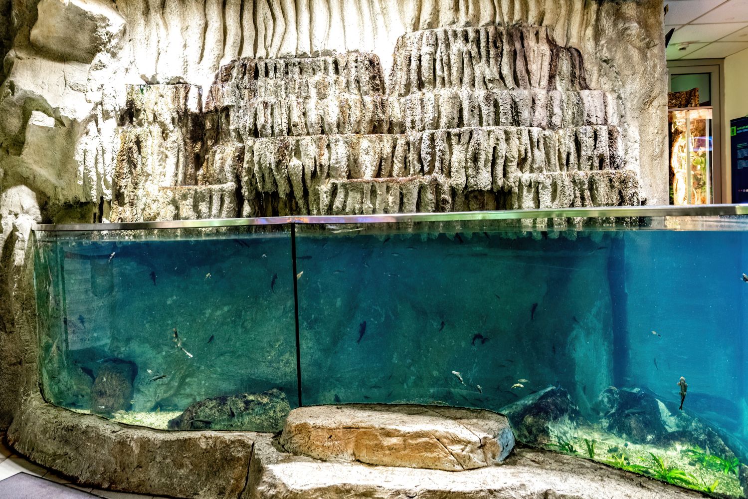 Knabberfisch-Becken mit Steinterrassen-Nachbildung im Hintergrund
