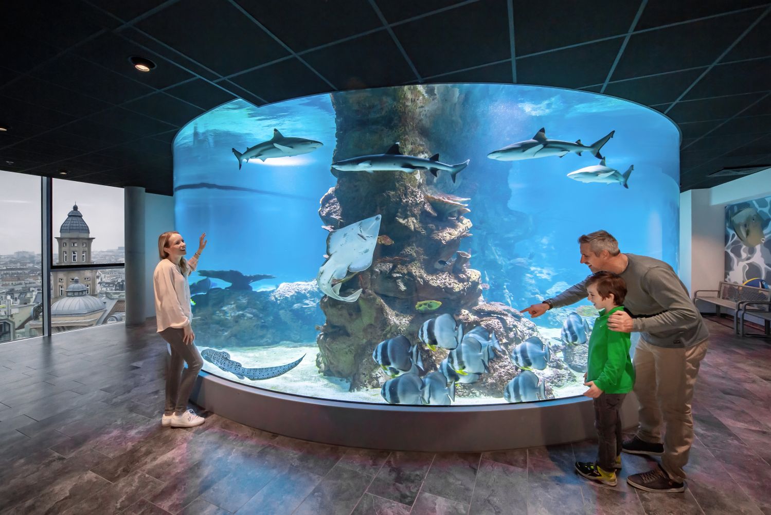 Eine Familie blickt in das ovale 360° Haibecken, es sind Tiere eines indopazifischen Korallenriffes zu sehen