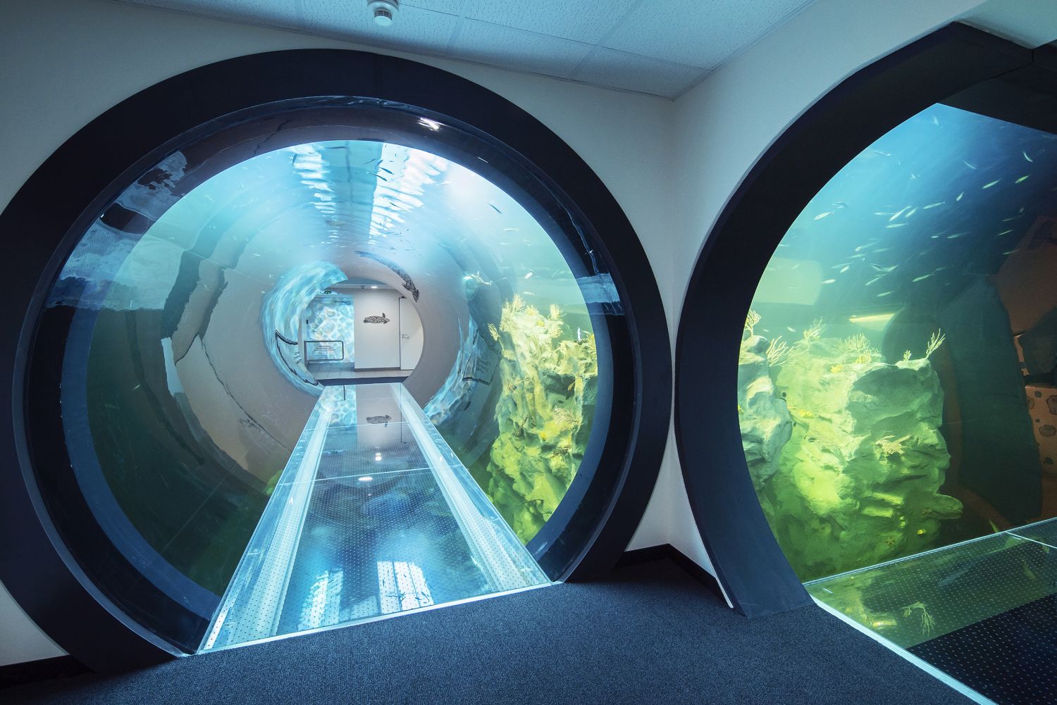 Blick in den Atlantik-Tunnel
