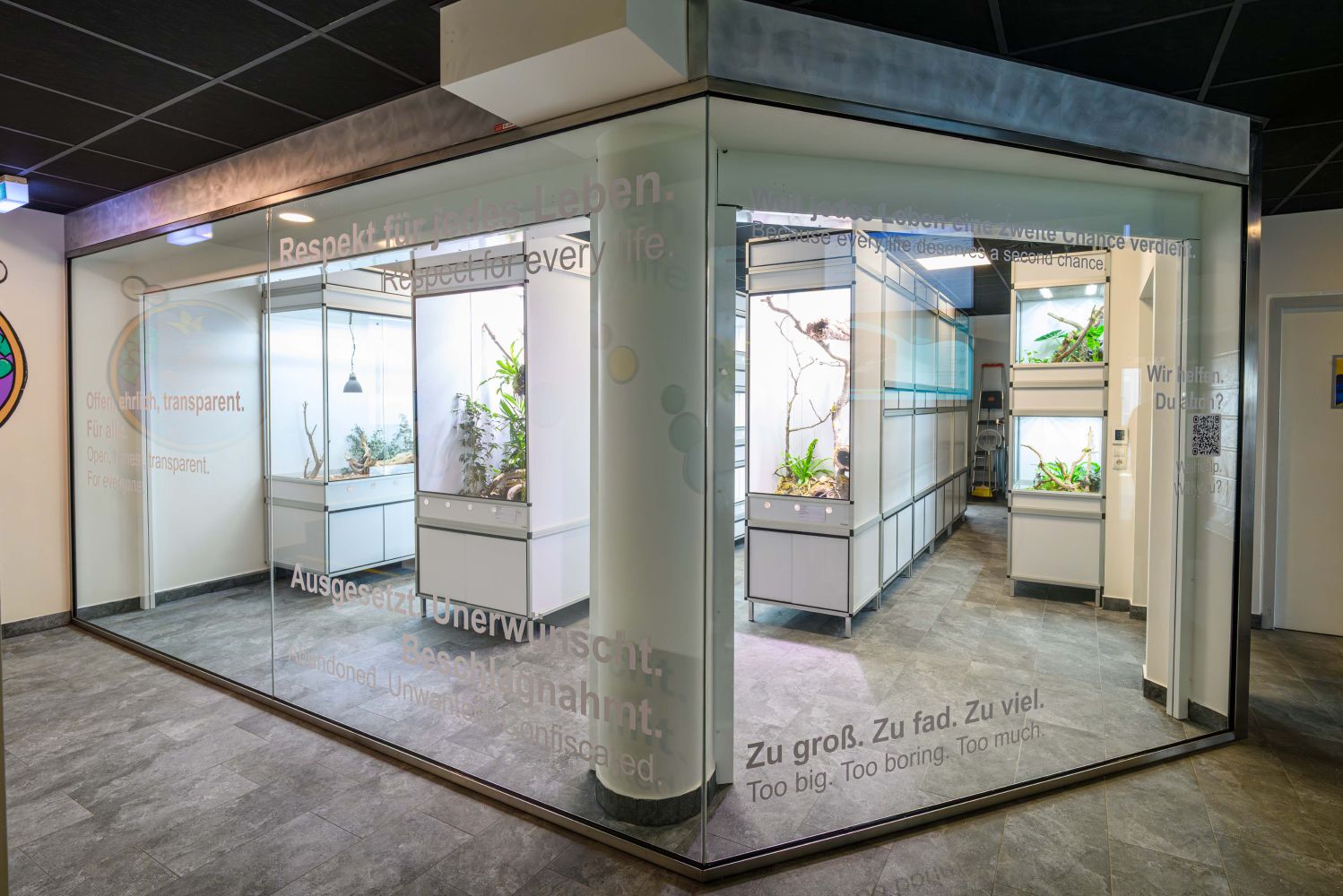 Blick durch die Galsfront der neuen Auffangstation 