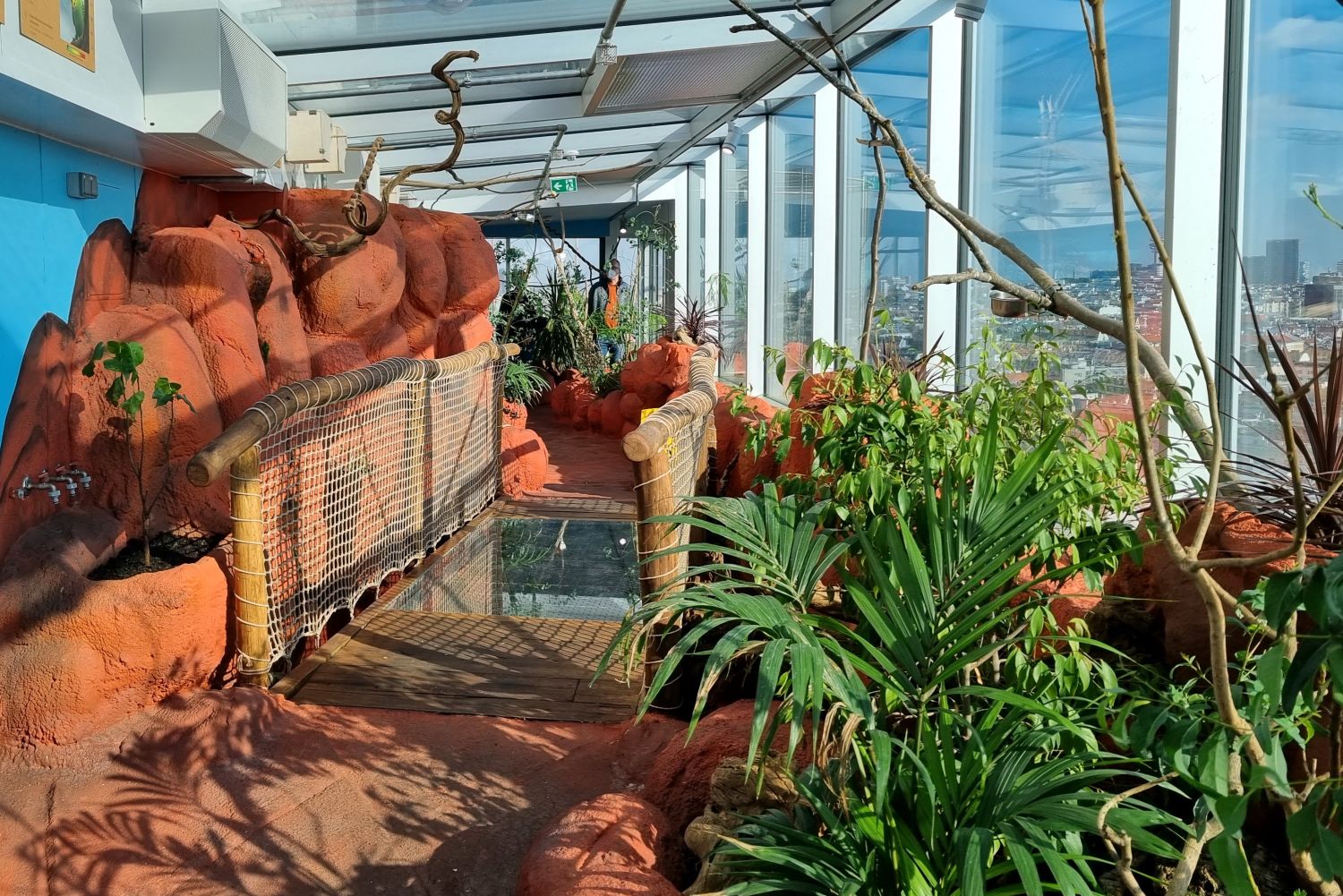 Gang durch Australien-Erlebniswelt, gläsernes Dach und Seitenscheiben