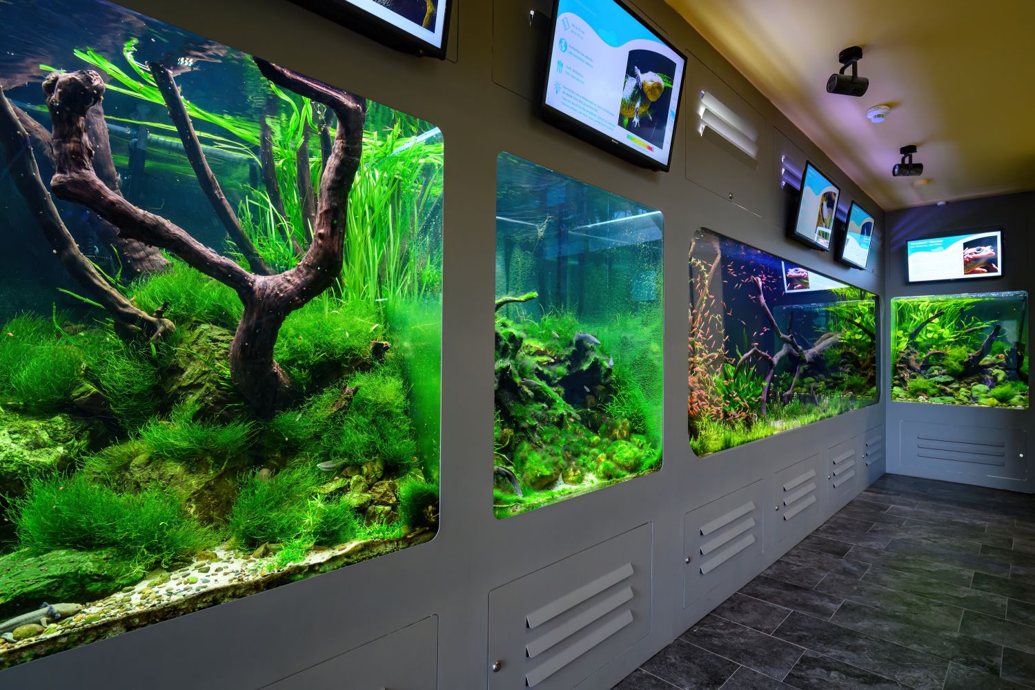 Aquarien mit verschiedenen Fischen in den Aqua-Terra-Galerien im Südstiegenhaus
