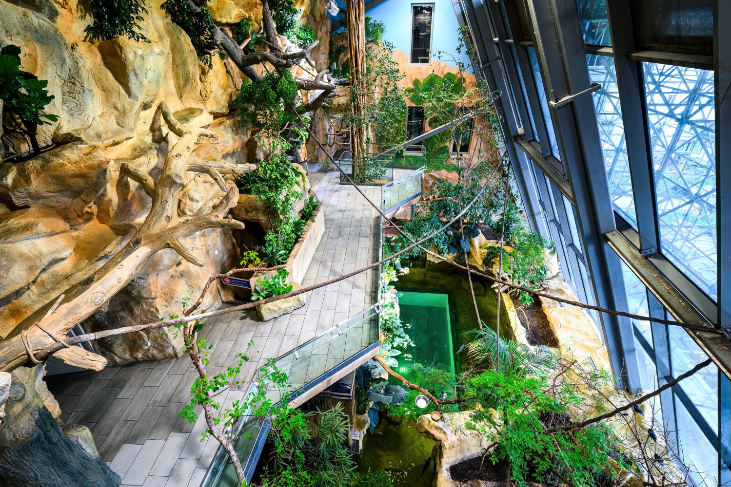 Blick von oben auf den Krokipark im Haus des Meeres