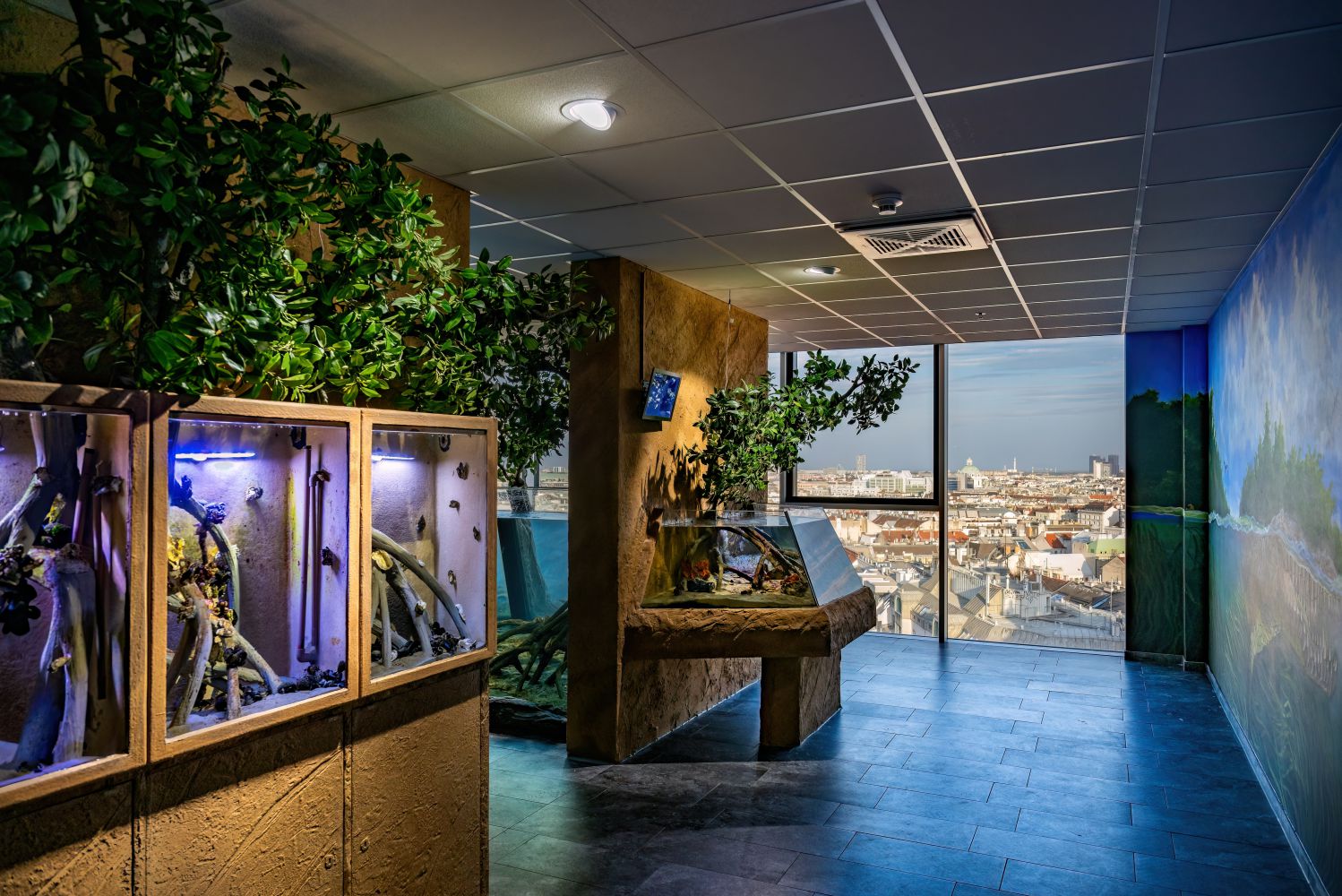 mangrove aquariums