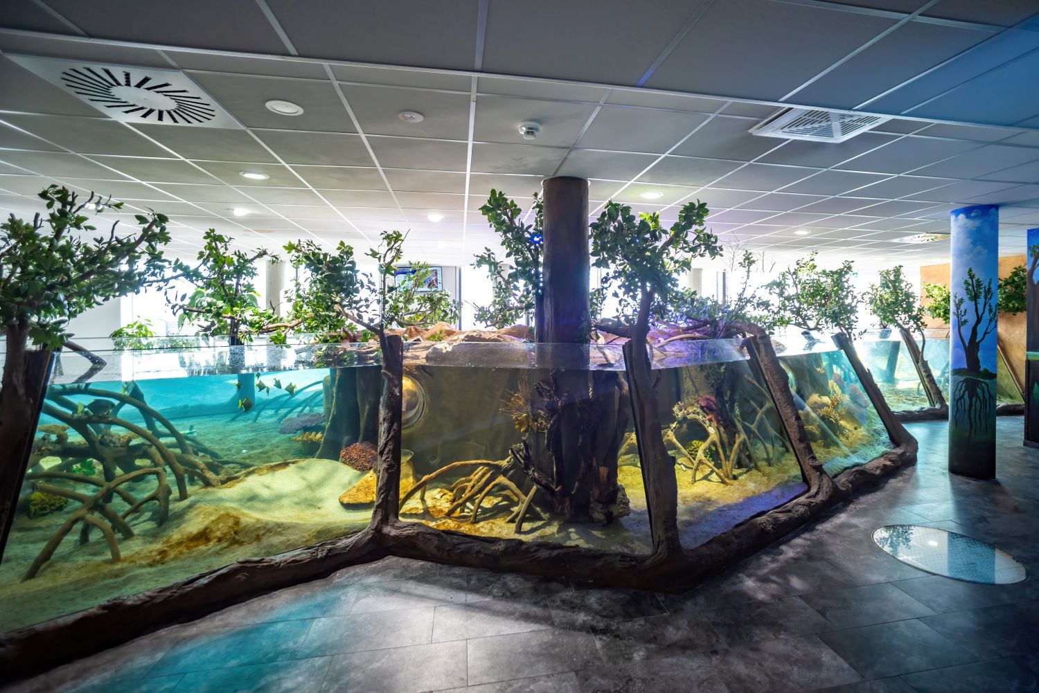 großer Bereich mit verbundenen Mangroven-Aquarien