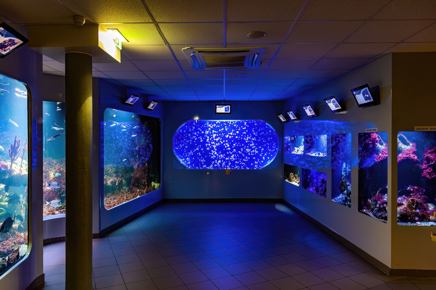 Blick in die Mittelmeer-Abtailung mit verschiedenen Aquarien 