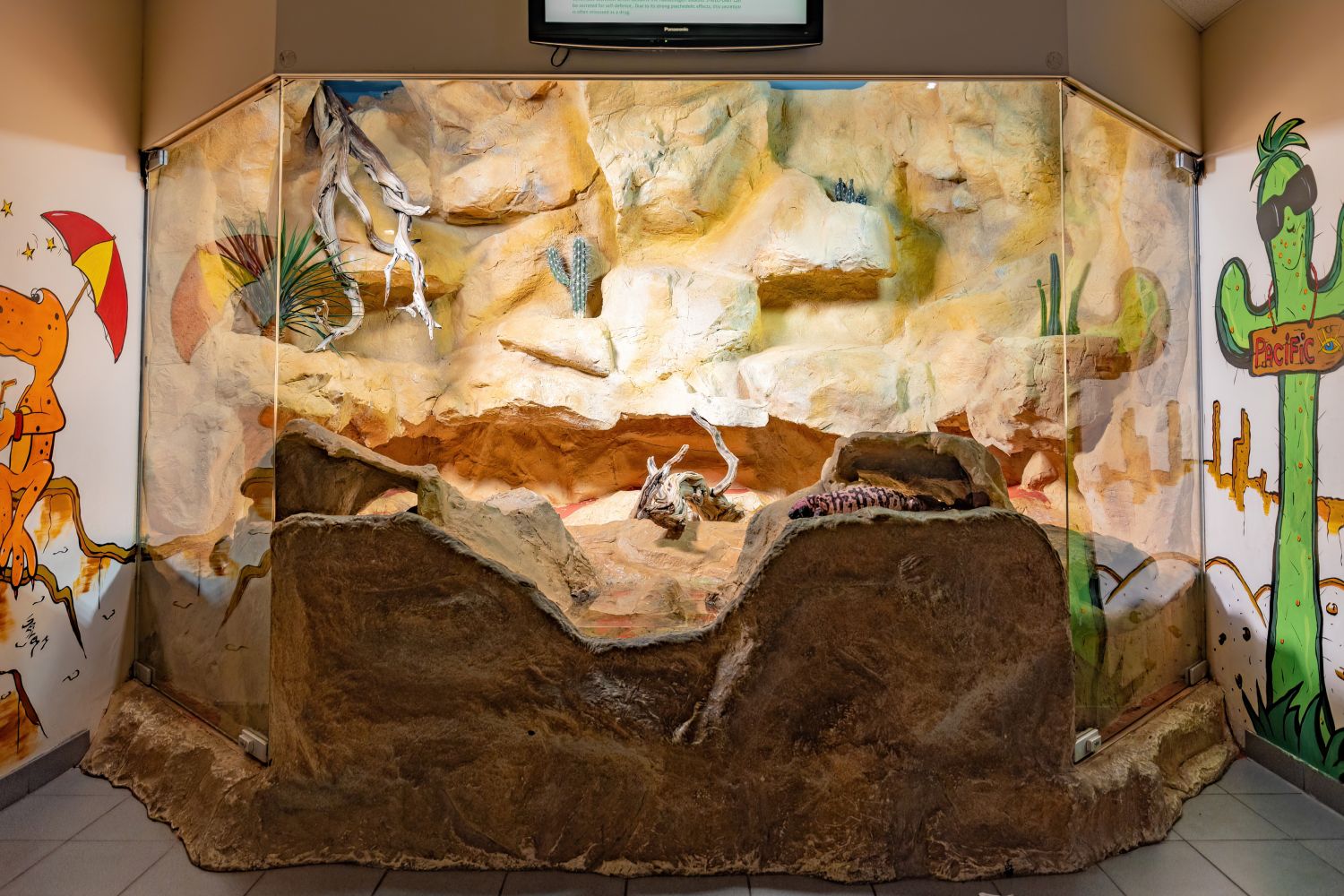 Terrarium, das den Lebenraum Wüste abbildet