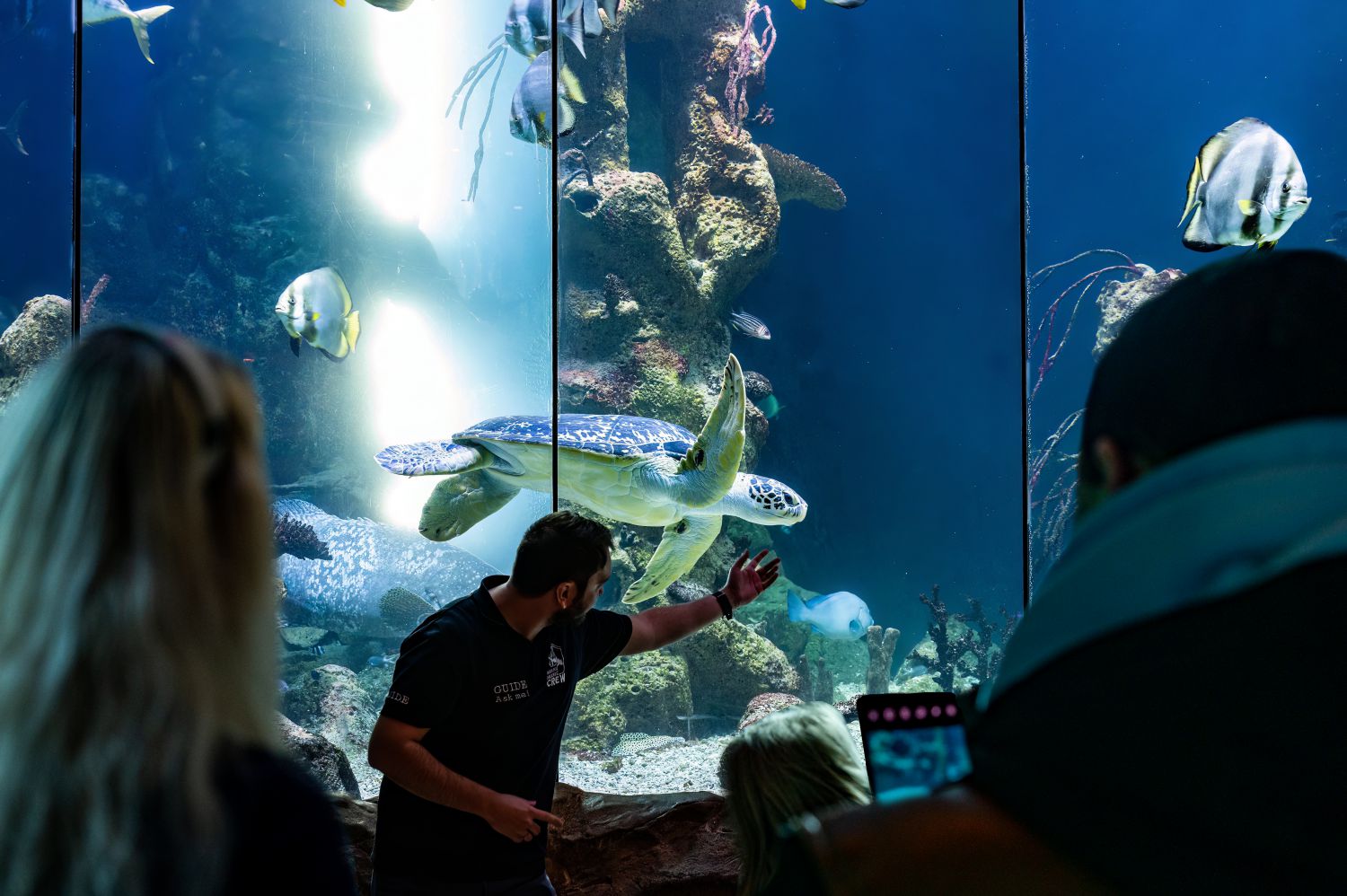 Guide zeigt auf Fische in einem Becken während einer Führung durch den Zoo