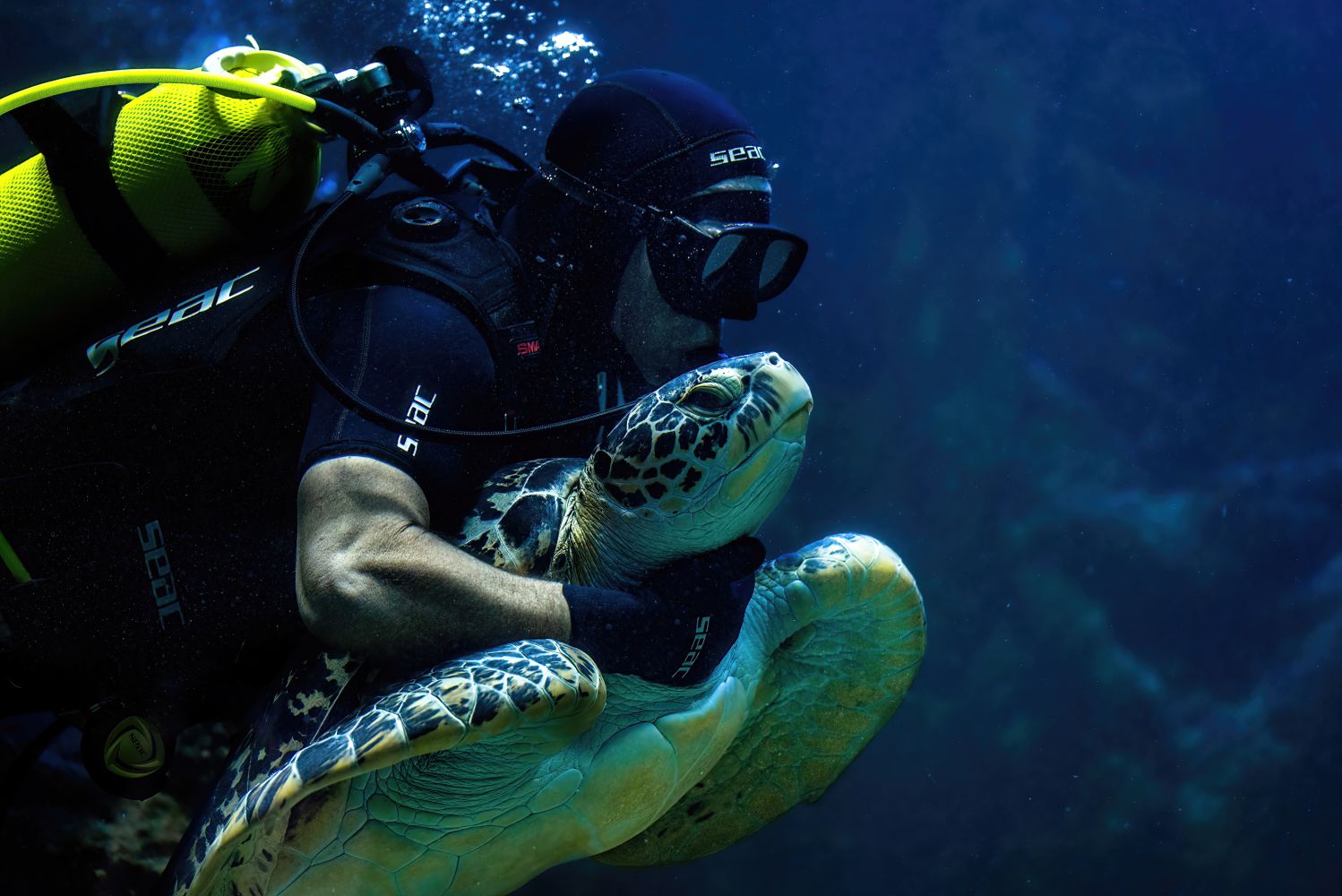 Taucher schwimmt mit Meeresschildkröte Puppi