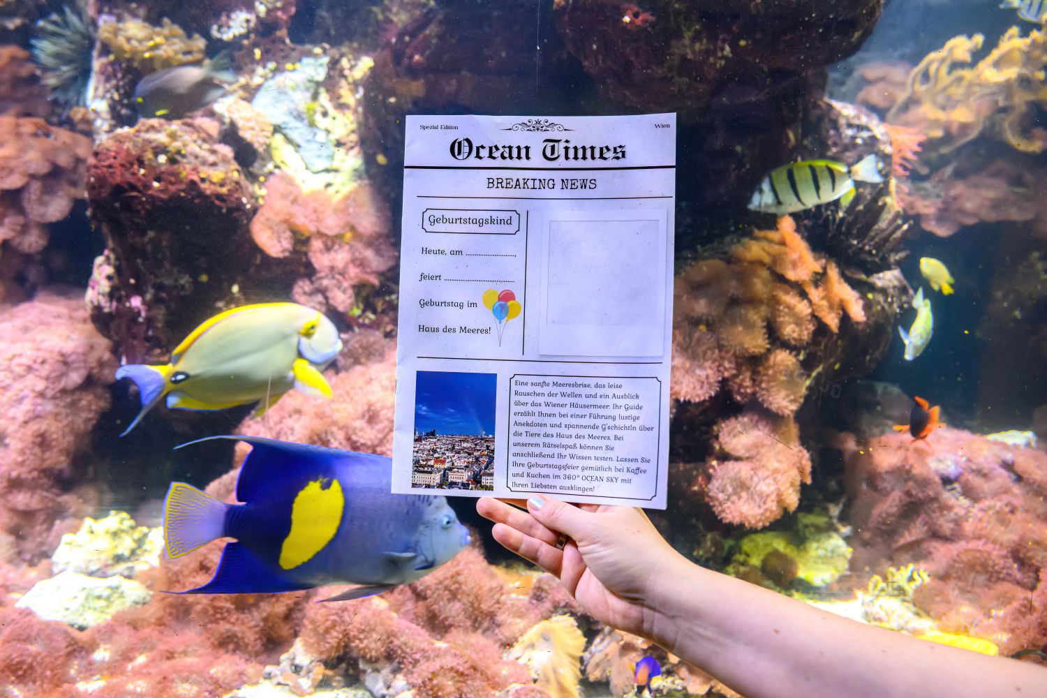 Eine Zeitungsseite wird vor einem Becken in die Höhe gehalten, dahinter schwimmen Fische vorbei