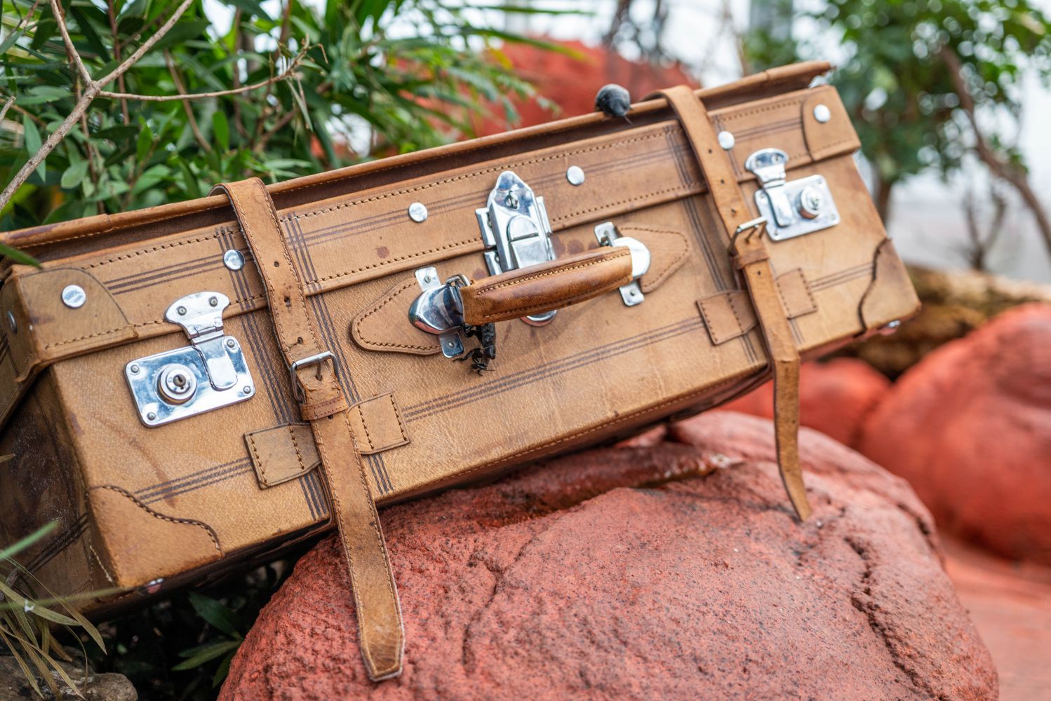Eine Schatzkoffer liegt auf einem Stein